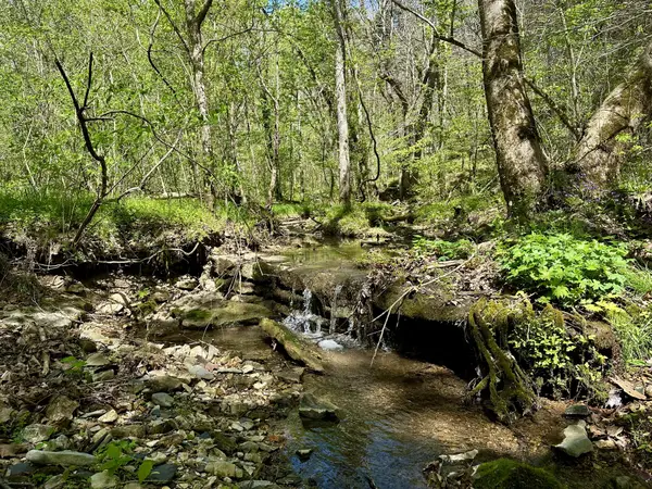 0 Ponder Rd, Smithville, TN 37166