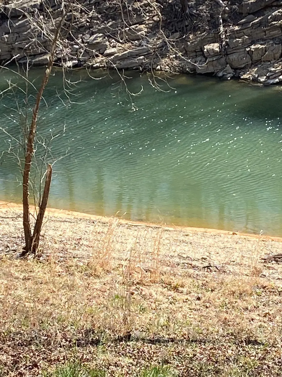 0 Wagon Lane, Speedwell, TN 37870 - #3