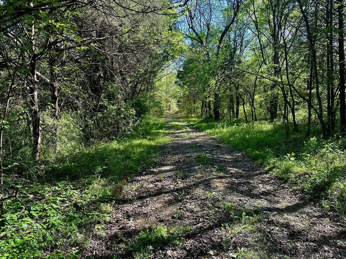 0 Cedar Grove Rd S, Chapel Hill, TN 37034 - #1