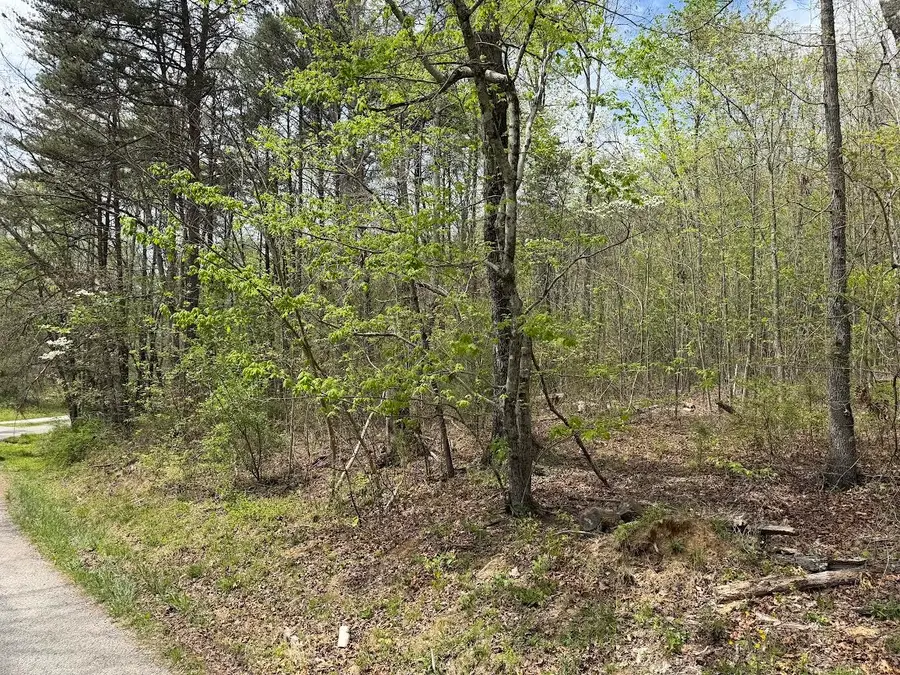 0 Myers Hill Rd, Tracy City, TN 37387 - #3