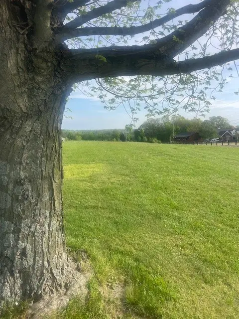 7748 Webster Rd, White House, TN 37188 - #1