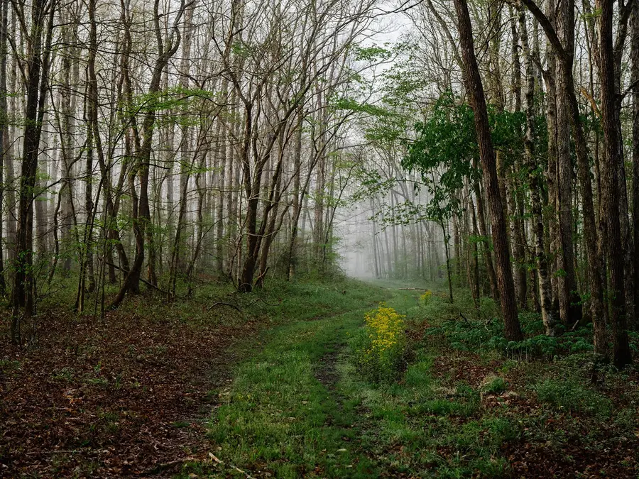 846 R Wilkerson Dr, Centerville, TN 37033 - #2