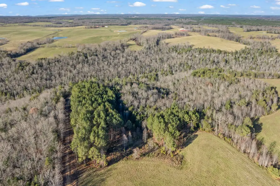 0 Prong Of Clear Fork, Jamestown, TN 38556 - #3