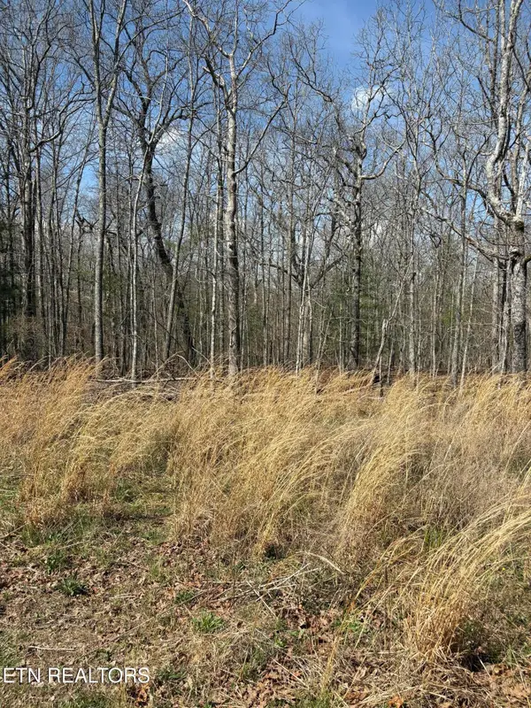 2017 Tres Circle, Crossville, TN 38572