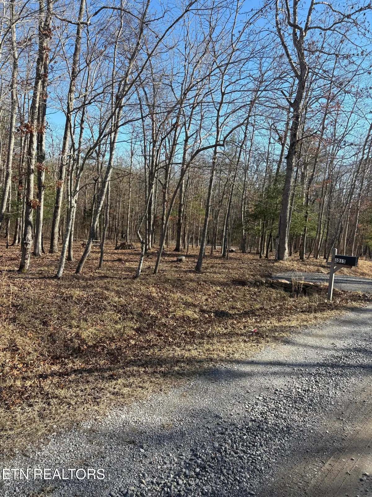 1015 Gray Eagle Drive, Crossville, TN 38572 - #1