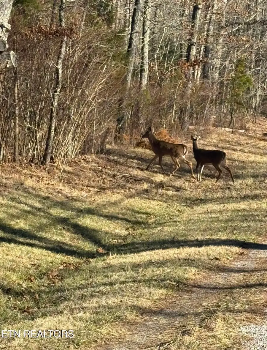 1015 Gray Eagle Drive, Crossville, TN 38572 - #3