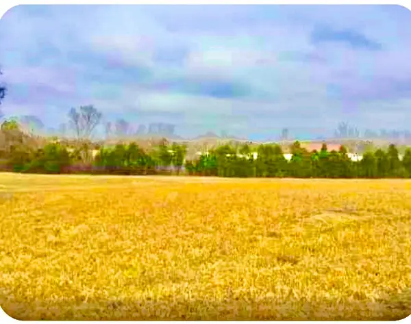 300 N Mount Juliet Rd, Mount Juliet, TN 37122