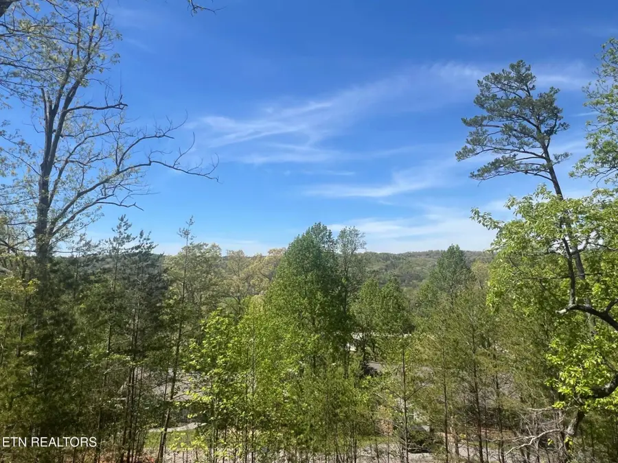 850 Trinity View Circle Circle, Seymour, TN 37865 - #2