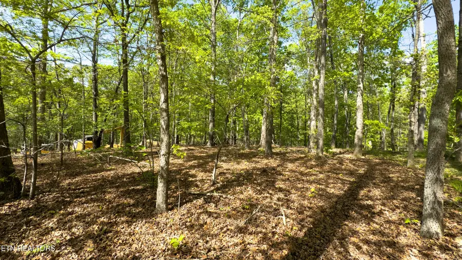 2085 Old Dogwood Tr, Loudon, TN 37774 - #2