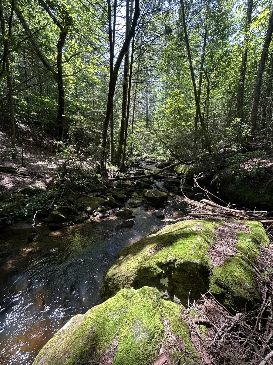 257 Flocking Hens Drive, Sparta, TN 38583 - #2