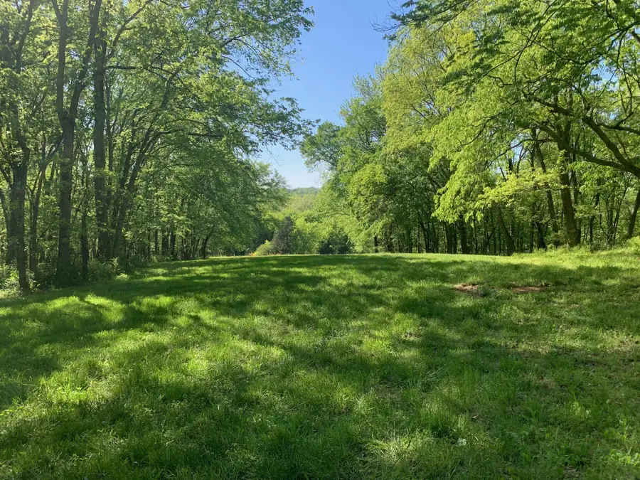 6816 Drumright Hills Ln, College Grove, TN 37046 - #2