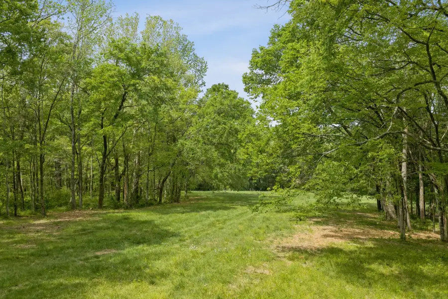 6816 Drumright Hills Ln, College Grove, TN 37046 - #3