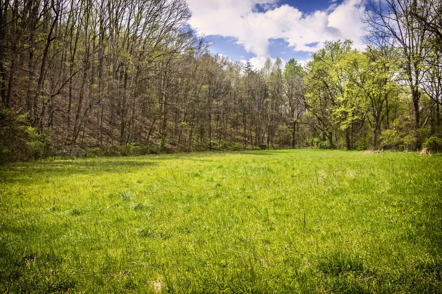 0 Gothard Road, Bakewell, TN 37373 - #3