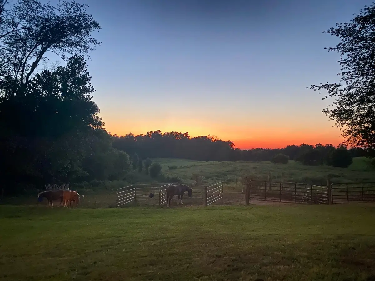 6180 Crawford Store Rd, Springfield, TN 37172 - #1