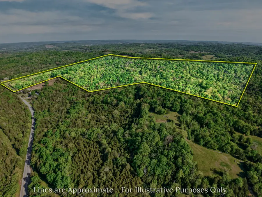 475 Old Elkton Pike, Fayetteville, TN 37334 - #3