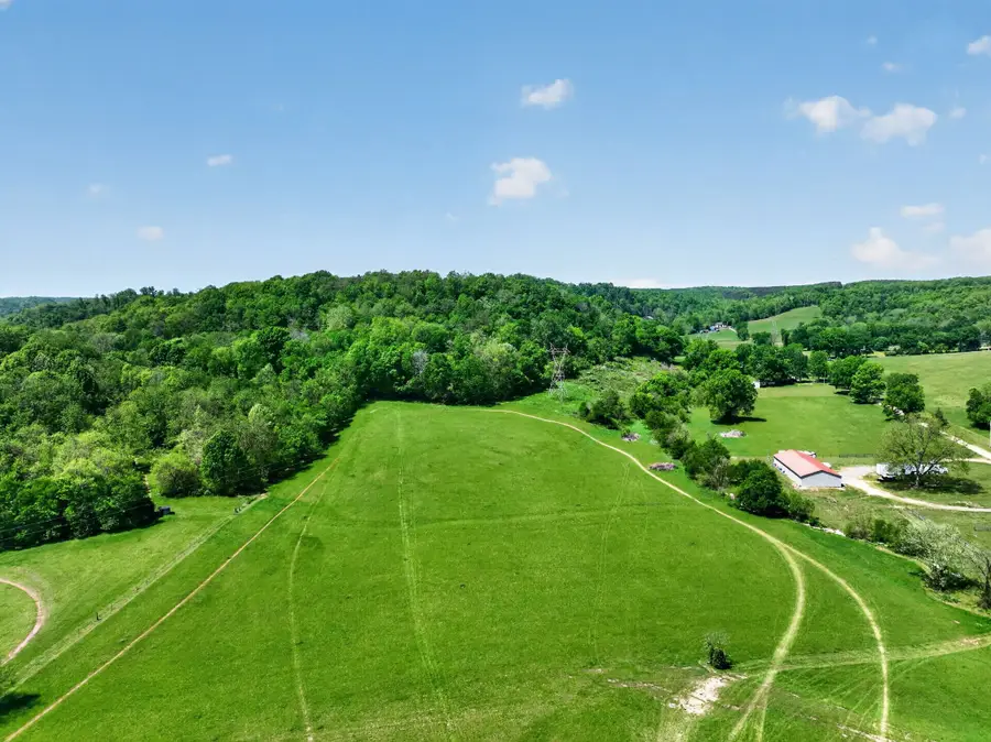 1641 Long Branch Ln, Mount Pleasant, TN 38474 - #2