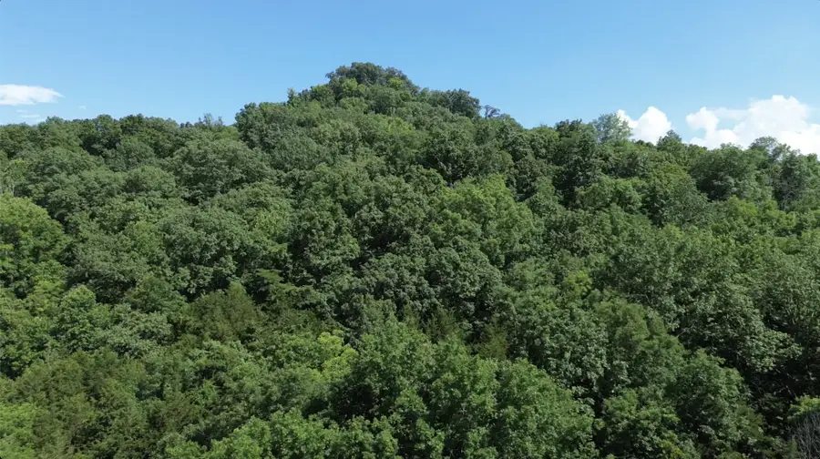 0 Hackett Hollow Ln, Pleasant Shade, TN 37145 - #3