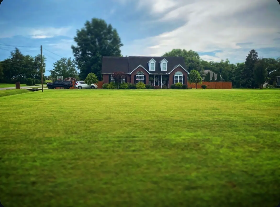 105 Barvas Ln, Lascassas, TN 37085 - #1