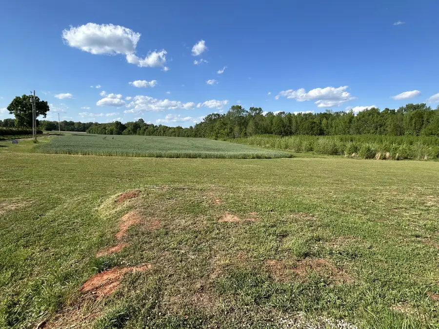 89 Beans Creek Vw, Belvidere, TN 37306 - #2