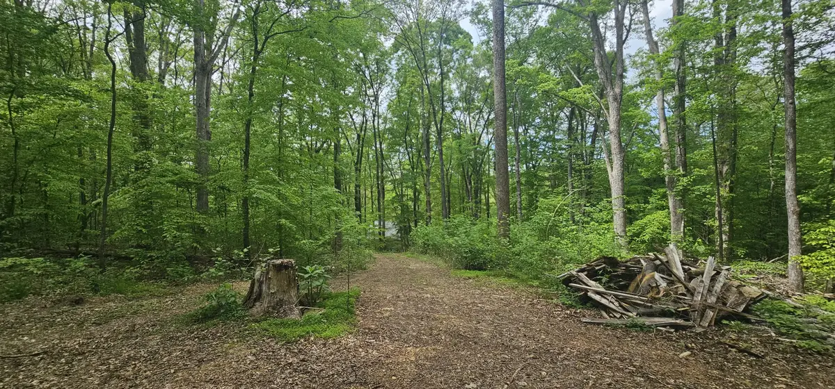 2225 Caney Branch Rd, Stewart, TN 37175 - #1