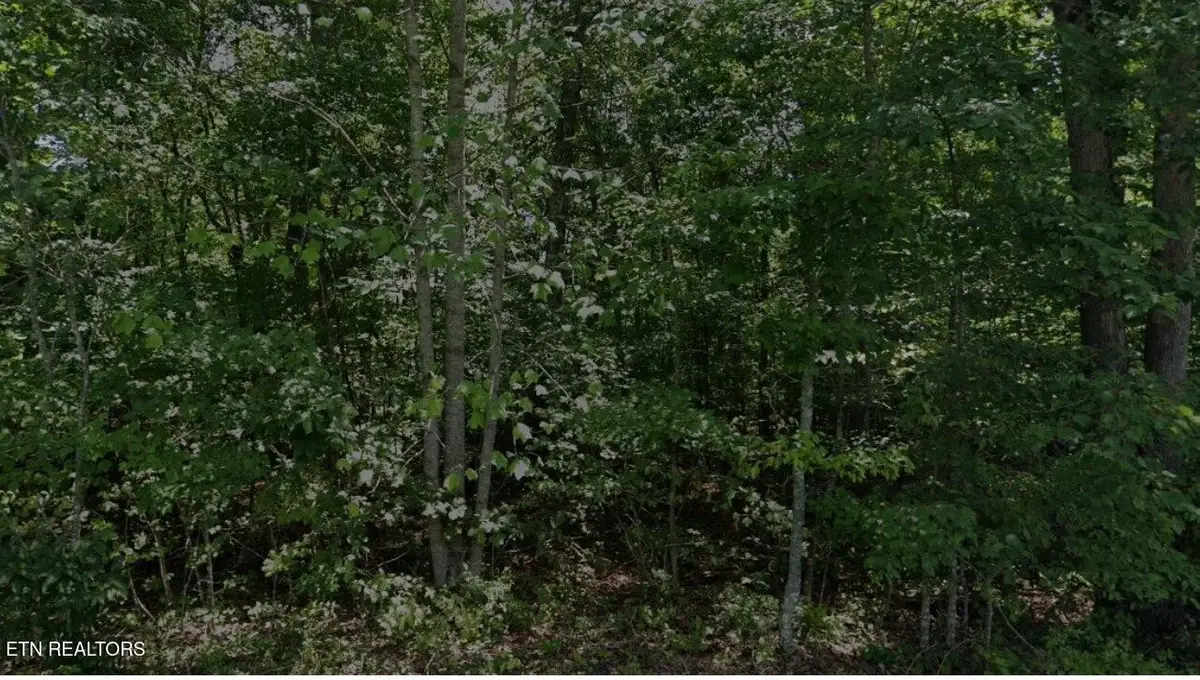 1001 Pahue Drive, Crossville, TN 38572 - #1