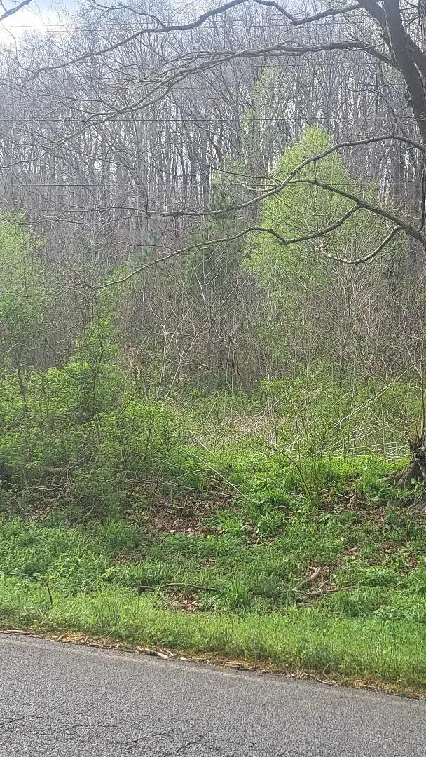 0 Napier Rd, Hohenwald, TN 38462 - #3