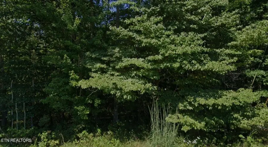 1014 Chief Day Break Drive, Crossville, TN 38572 - #3