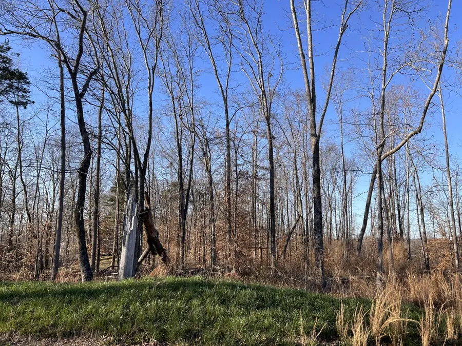 1 Water Ridge Dr, Sparta, TN 38583 - #2