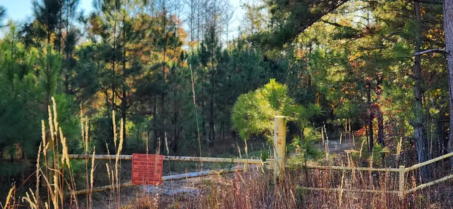 0 Budapest Rd Road, Tallapoosa, GA 30176 - #2