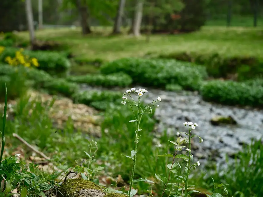 2925 Old Clarksville Pike, Ashland City, TN 37015 - #3