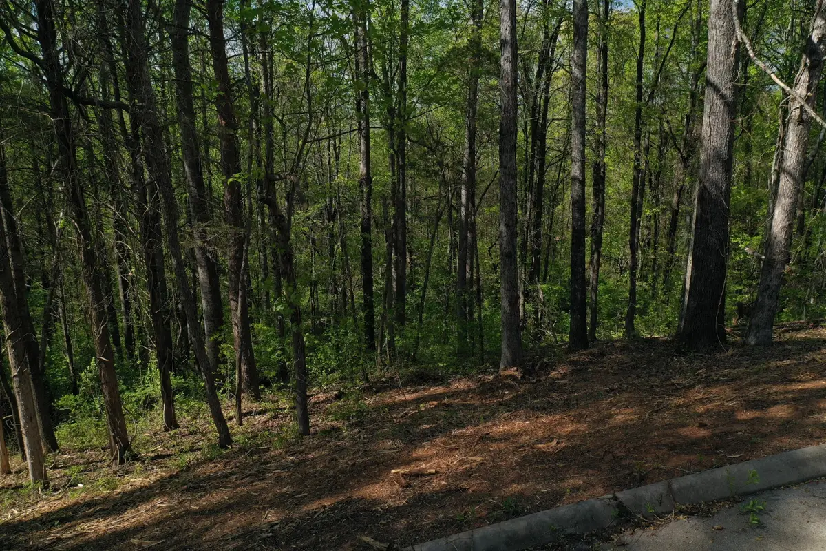 0 Elm Lane Lot 16 Lane, Sweetwater, TN 37874 - #1