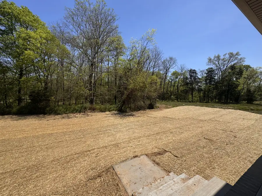 5924 Luke Court, Arrington, TN 37014 - #3