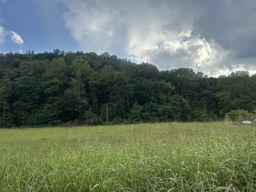 0 Lees Creek Rd, Fayetteville, TN 37334 - #3