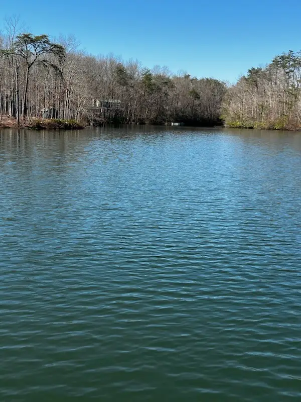 0 Crystal Point, Monterey, TN 38574 - #1