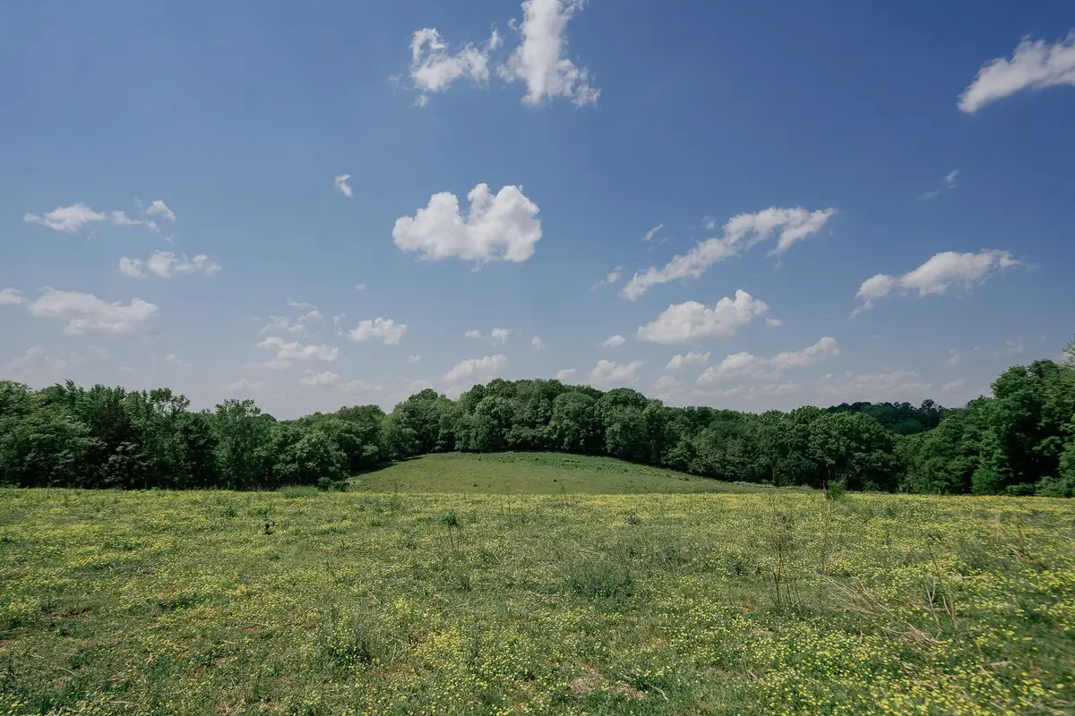 0 Hwy 50, Winchester, TN 37398 - #1