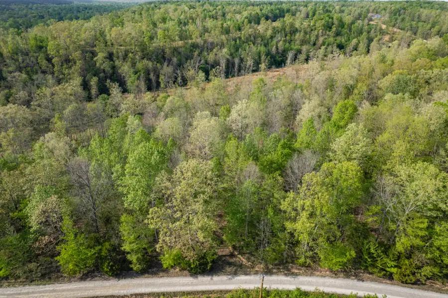 0 Chief Creek Rd, Lawrenceburg, TN 38464 - #3
