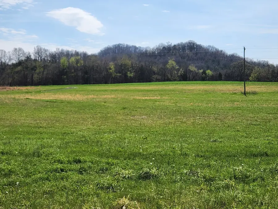 0 Browning Branch Road, Bethpage, TN 37022 - #3
