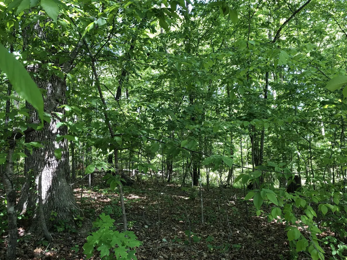 0 Devin Dr, Lawrenceburg, TN 38464 - #1