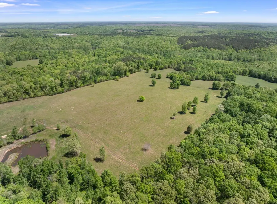 0 Chisholm Rd, Iron City, TN 38463 - #3