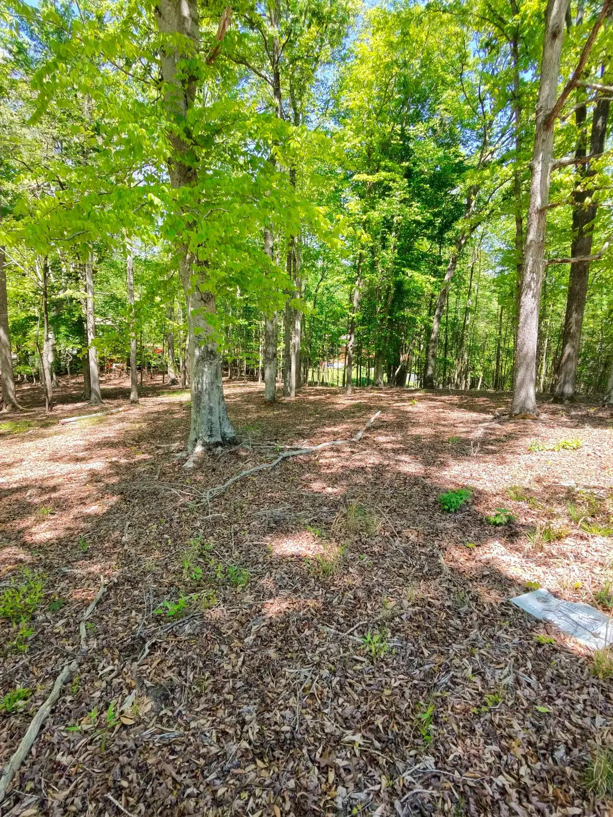 0 Four Seasons Dr, Smithville, TN 37166 - #1