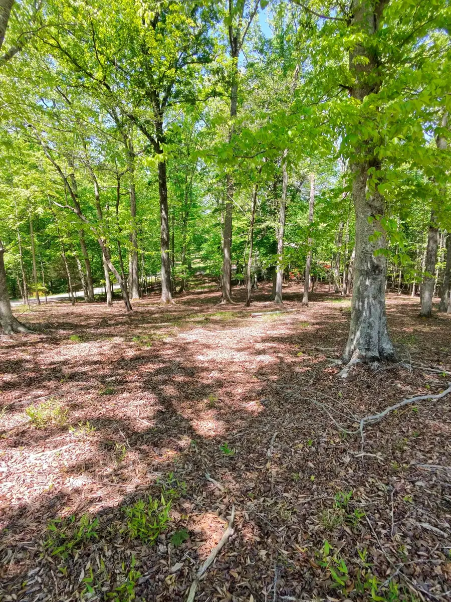 0 Four Seasons Dr, Smithville, TN 37166 - #3