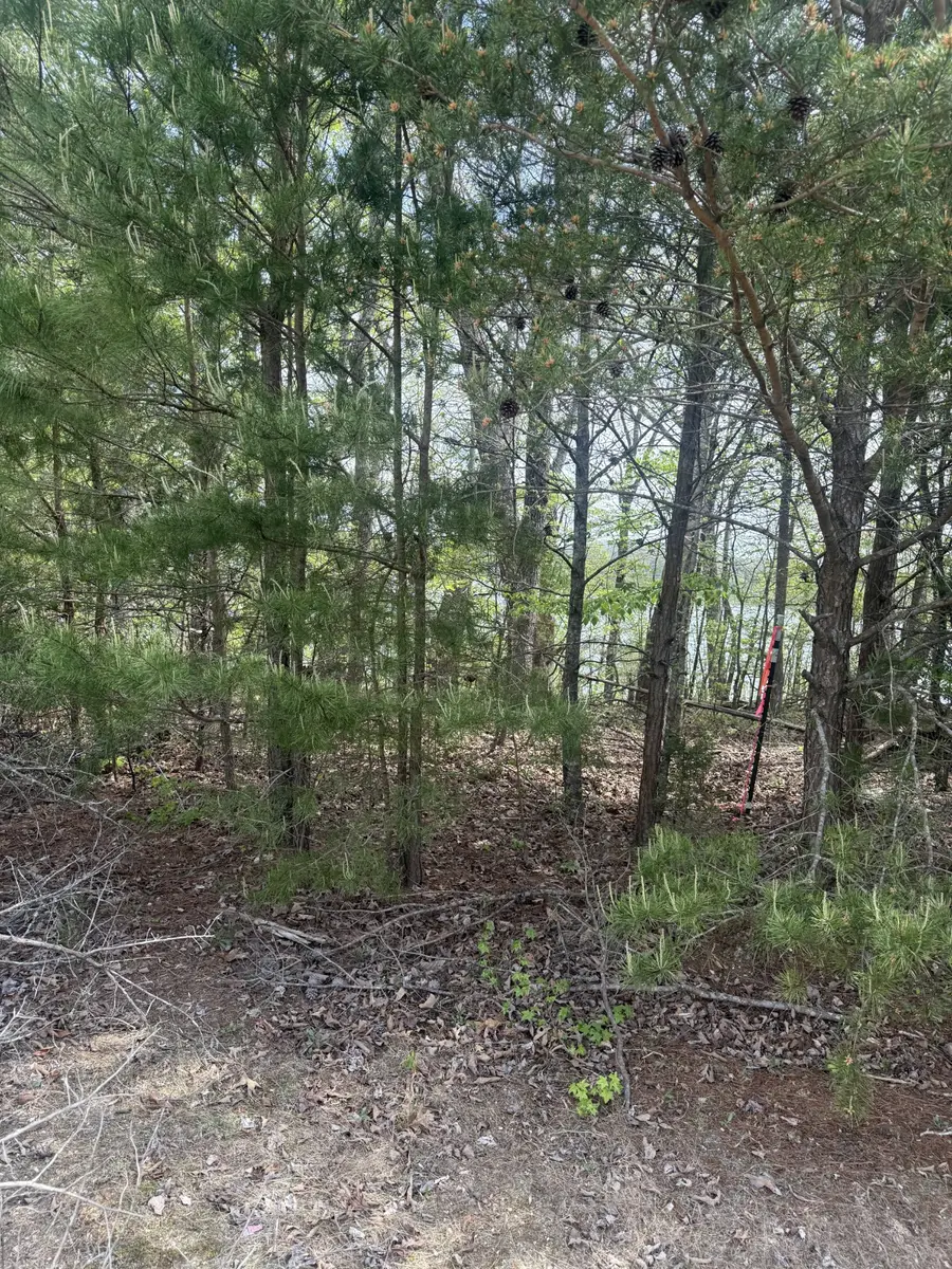 16624 N Star Cir, Bakewell, TN 37373 - #2