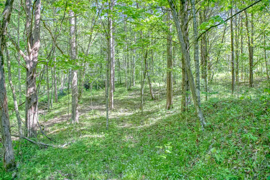 299 Poor House Hollow Ln, Gainesboro, TN 38562 - #2