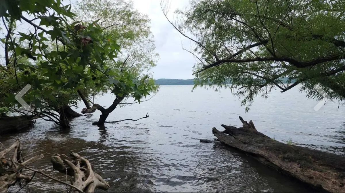 2355 Richland Harbor Rd, Waverly, TN 37185 - #1