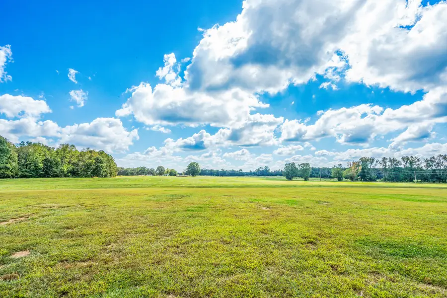 5 Salem Rd, Minor Hill, TN 38473 - #2