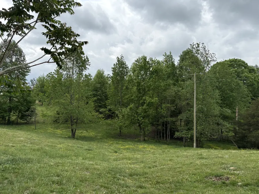 449 Miller Ln, Goodspring, TN 38460 - #3