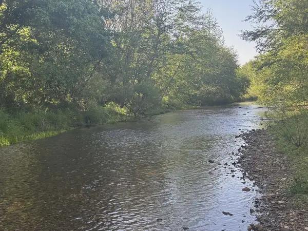 519 Highway 48 S, Centerville, TN 37033