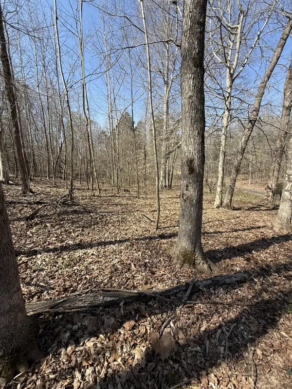 0 Brigham Branch Rd, Erin, TN 37061