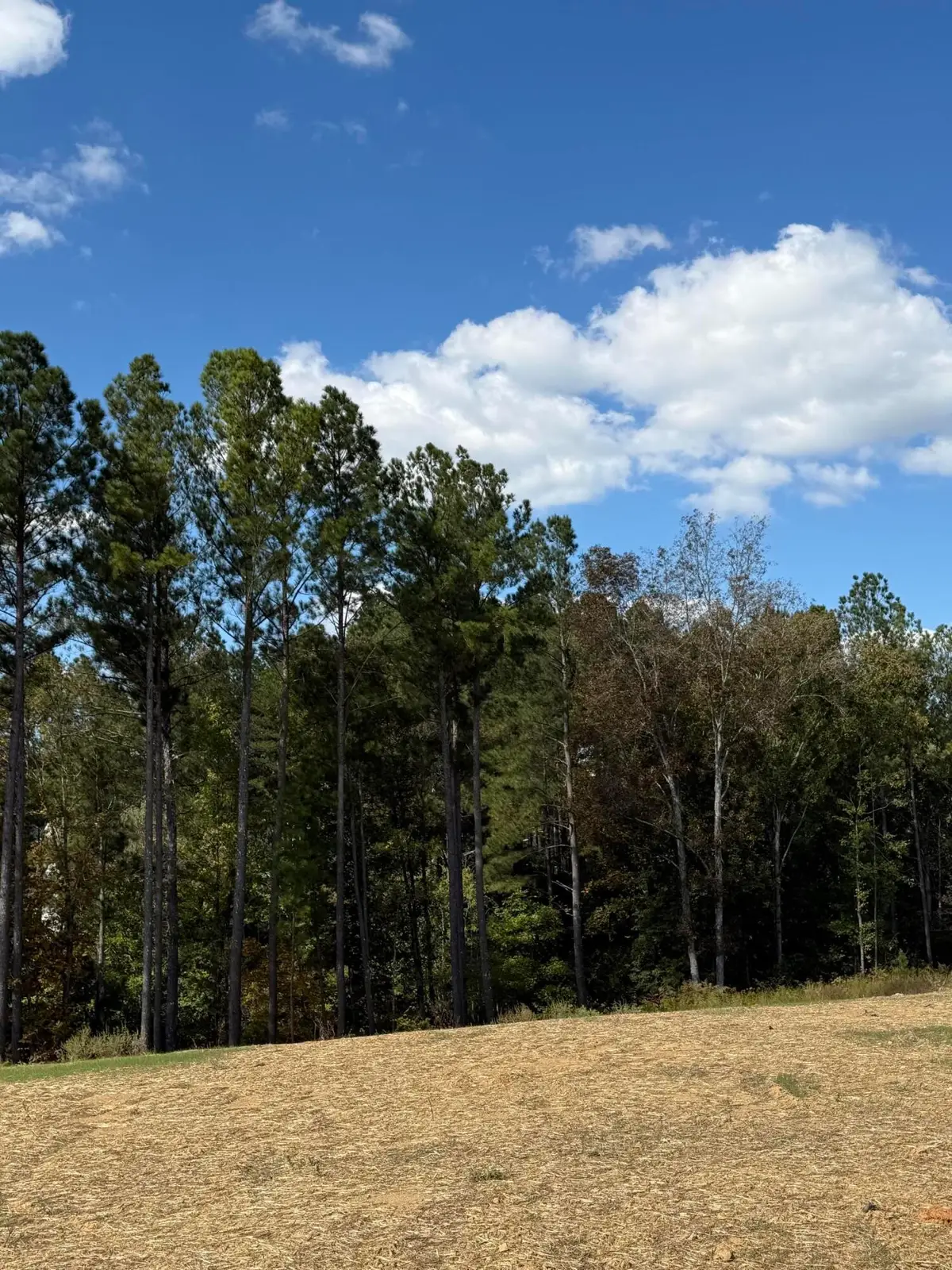 5 Creekwood, Cleveland, TN 37312 - #1