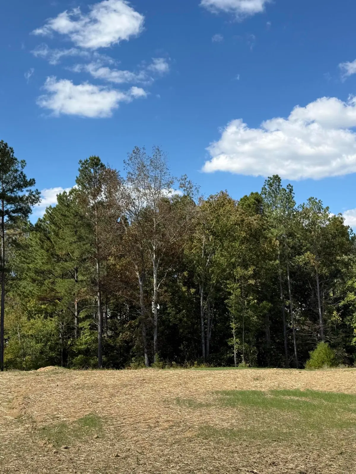 6 Creekwood, Cleveland, TN 37312 - #1